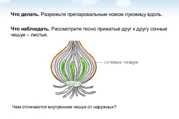 Кракен маркетплейс откуда взялся