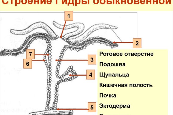 Кракен даркнет текст