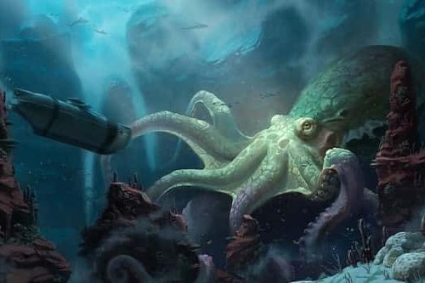 Kraken link