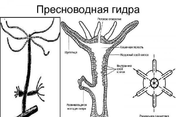 Кракен даркнет только через тор