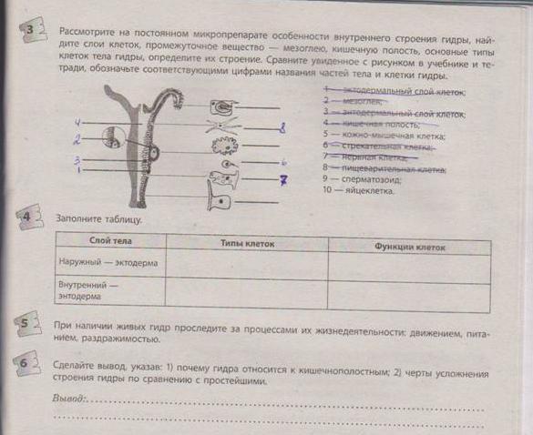 Кракен зеркало ссылка онлайн